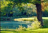 Famous Pond Paintings - Quiet Pond